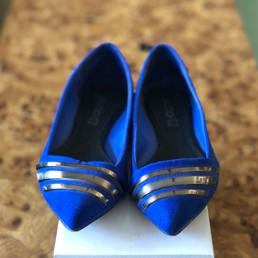 Aldo “Baldon” royal blue suede pointed flats